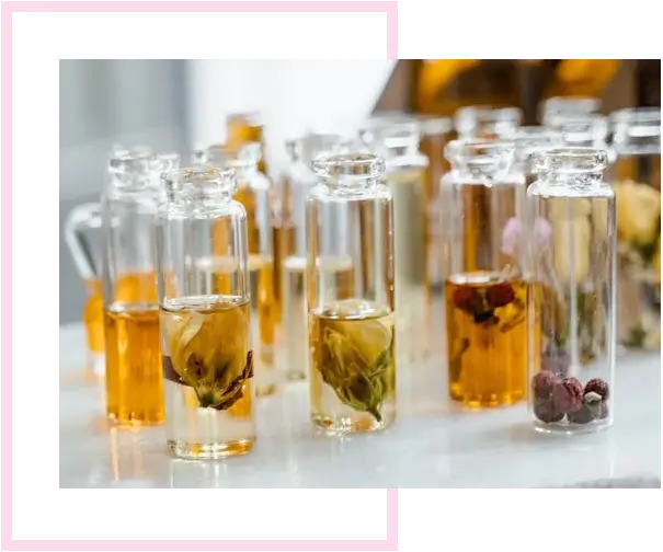 Premium Ingredients
